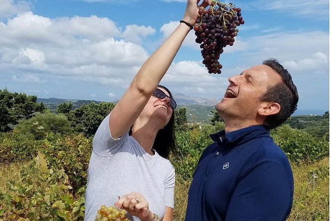 Private Wine and Olive Oil Tour With Wine Professional - Key Points