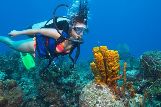 Professionals Scuba Diving 2 Stops Full Day Sea Trip - Hurghada - Overview and Experience