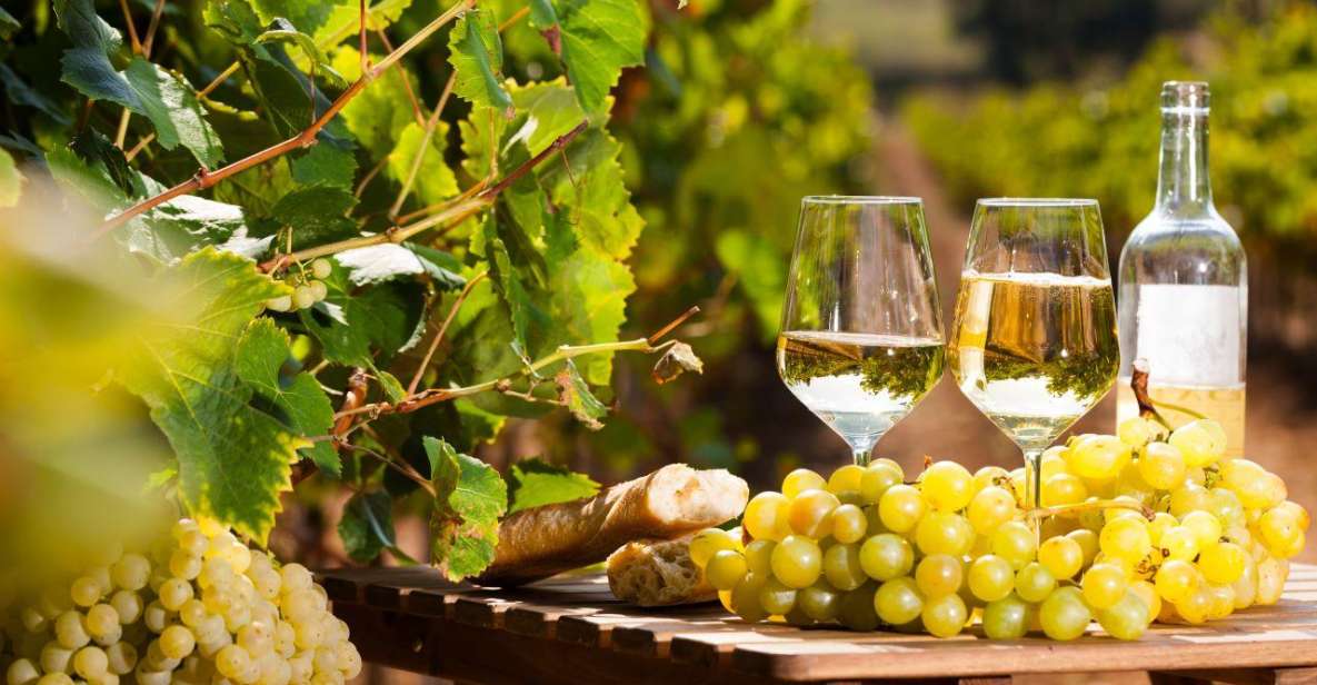 Provencal Market & Wine Tasting Full Day Tour - Key Points