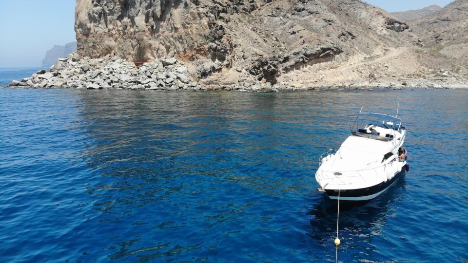 Puerto De Mogan: Dolphin Boat Trip - Key Points