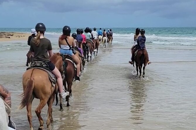 Puerto Rico Beach Horseback Riding Guided Tour - Key Points