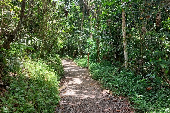 Puerto Rico: El Yunque Sightseeing Half-Day Tour With Transfer - Tour Overview