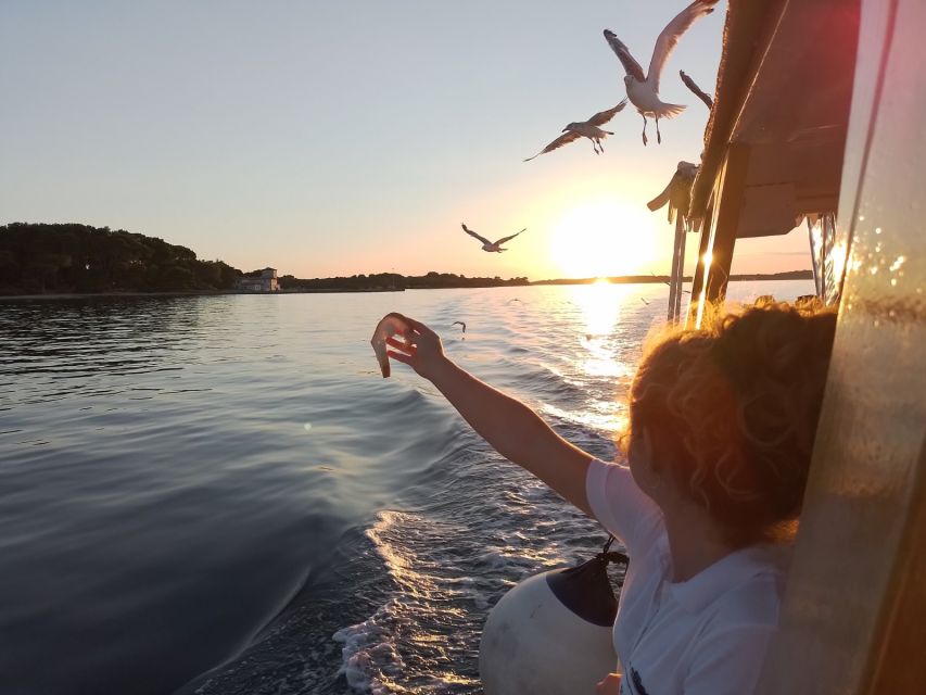 Pula: Dolphin-Watching Cruise at Sunset With Dinner & Drinks - Key Points