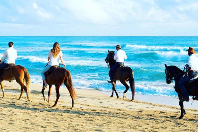 Punta Cana Beach Horseback Riding - Key Points