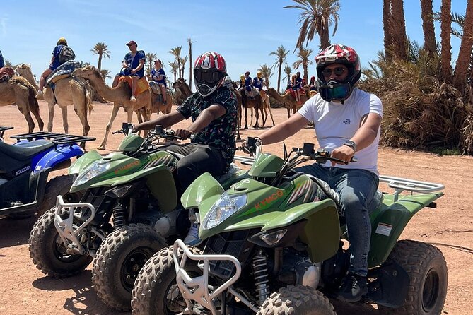 Quad in the Palm Grove of Marrakesh - Key Points