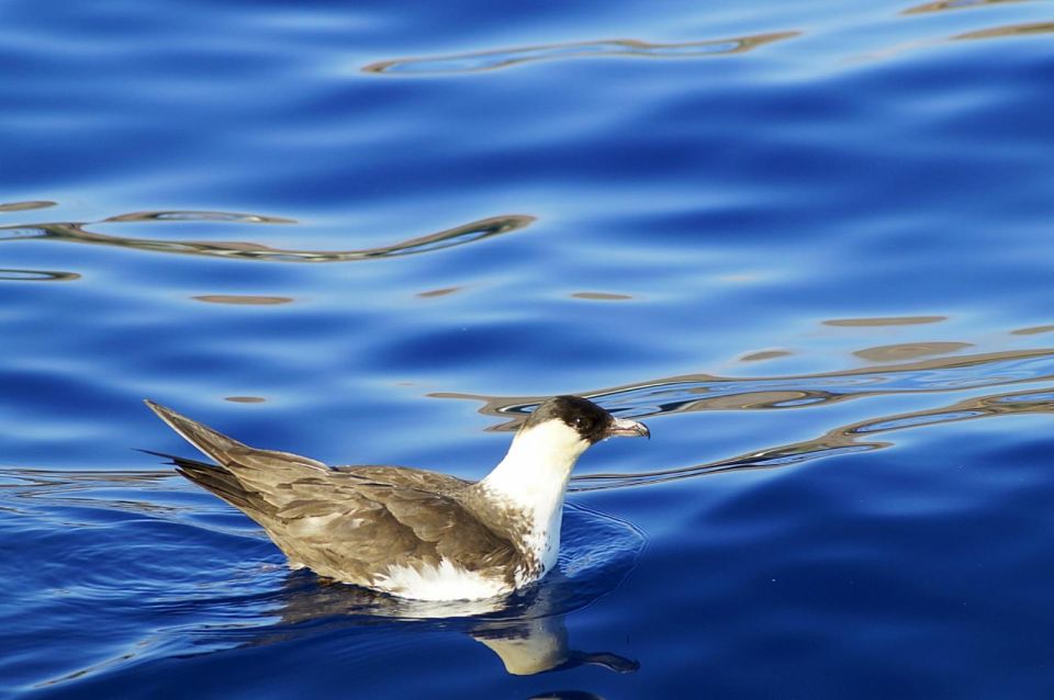 Quinta Do Lord: Baia D'abra Water Taxi - Key Points