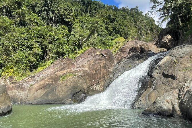 Rainforest Adventure: Best Hidden Waterfall Tour Key Points