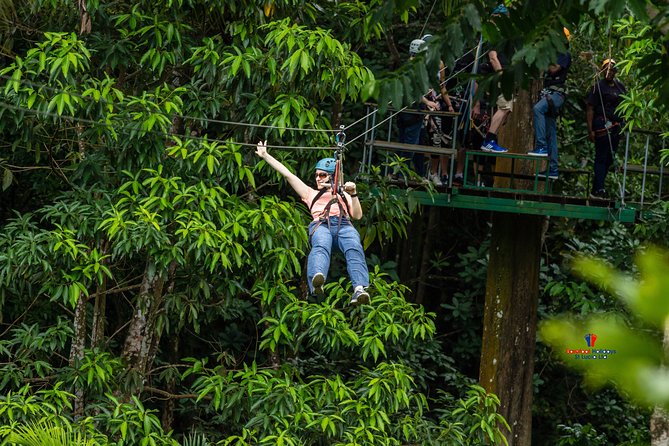 Rainforest Canopy Adventure From Vieux Fort or North Island, St Lucia - Tour Overview