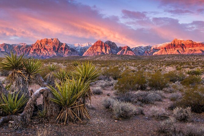 Red Rock Canyon Hike With Transport From Las Vegas - Key Points