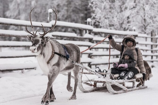 REINDEER FARM VISIT a Real Authentic Experience - Key Points