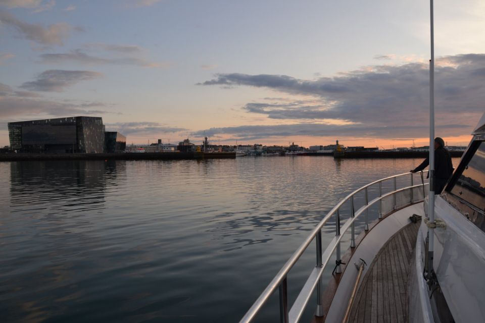 Reykjavik: Northern Lights Motor Yacht Cruise - Key Points