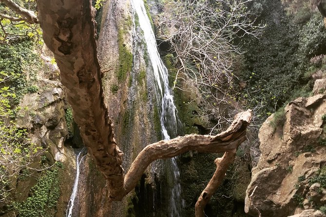 Richtis Waterfall, Minoan History, Oldest Tree, North Coast (Luxury Adventure) - Key Points