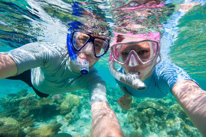 Rincon Snorkeling Adventure - Key Points