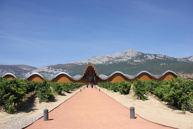 Rioja Full Experience Tour From San Sebastian With Lunch - Key Points