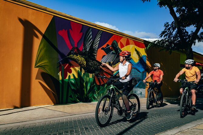 Road to San Nicolas Culture Heritage by Electric Bike Aruba - Key Points