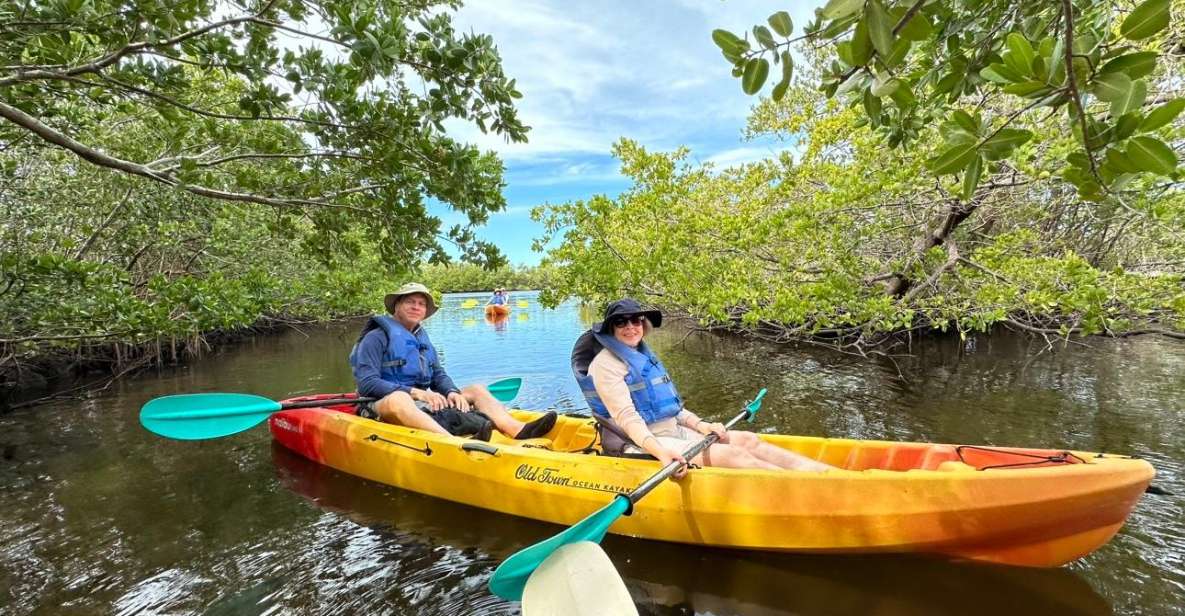 Robinson Preserve Mangrove Tour - Key Points