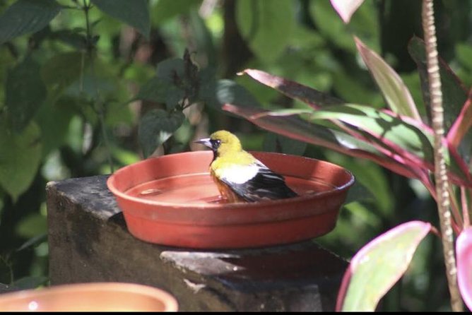 Rockland Bird Sanctuary and Hip-Strip Shopping - Exploring Rockland Bird Sanctuary