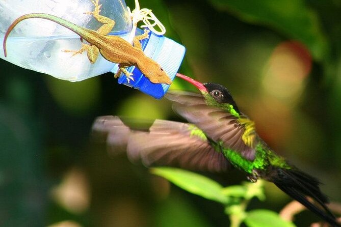 Rockland Bird Sanctuary Private Tour - Location and Highlights