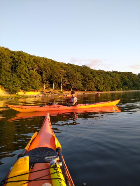 Roskilde: Guided Kayaking on Roskilde Fjord: Private Tour - Key Points