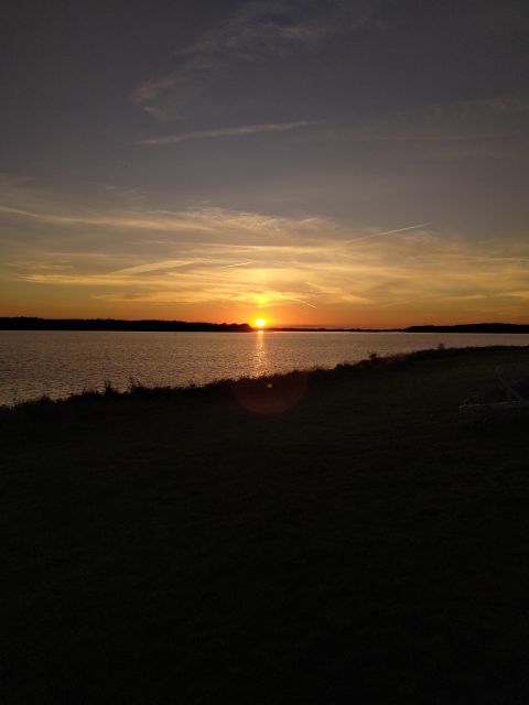 Roskilde: Guided Kayaking on Roskilde Fjord: Sunset Tour - Key Points