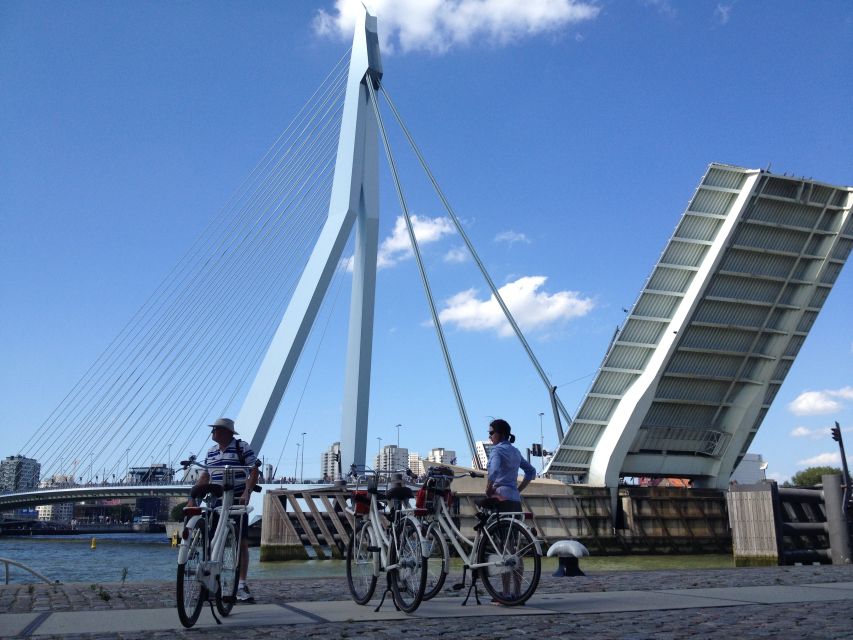 Rotterdam: City Highlights Guided Bike Tour - Key Points