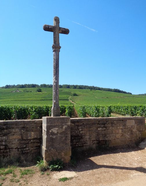 Route of the Great Growths, Private Wine Tasting in Burgundy! - Key Points