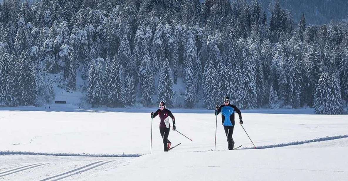 Rovaniemi: Cross Country Wilderness Ski Adventure - Key Points