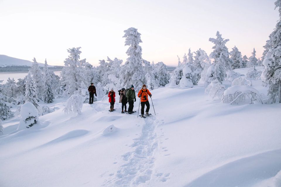 Rovaniemi: Hiking and Snowshoeing Adventure in Lapland - Key Points