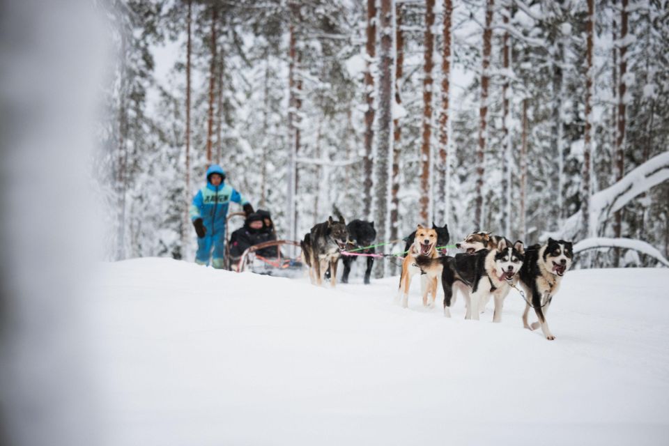 Rovaniemi: Husky Park and Reindeer Farm Combo - Key Points