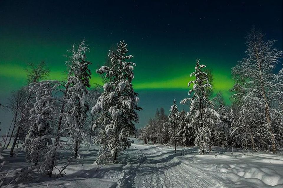 Rovaniemi: Northern Lights and Husky Sleigh Ride - Key Points