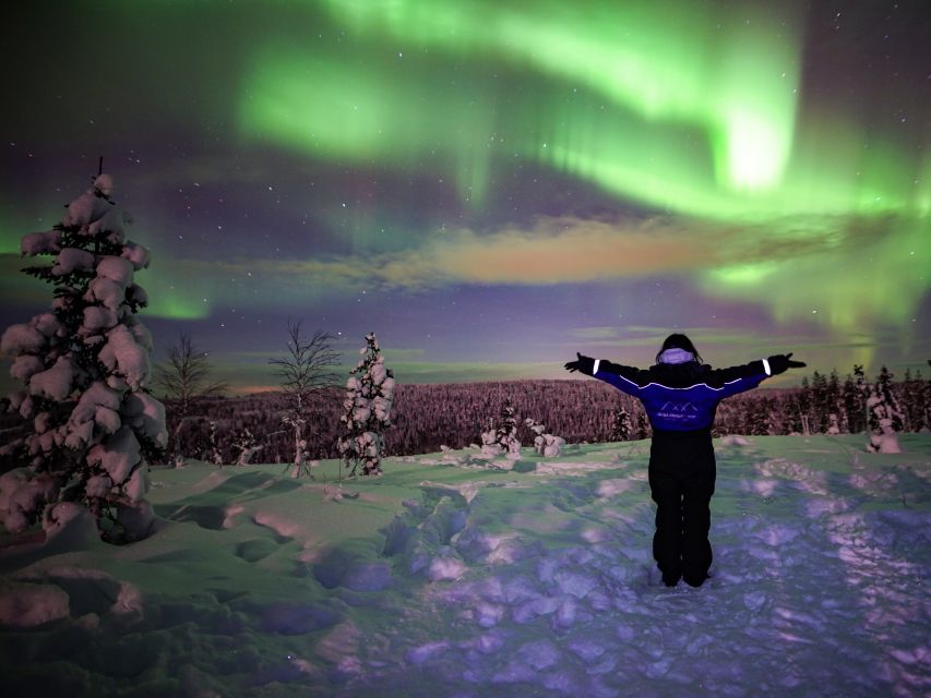 Rovaniemi: Northern Lights Wilderness Tour With Camera - Key Points