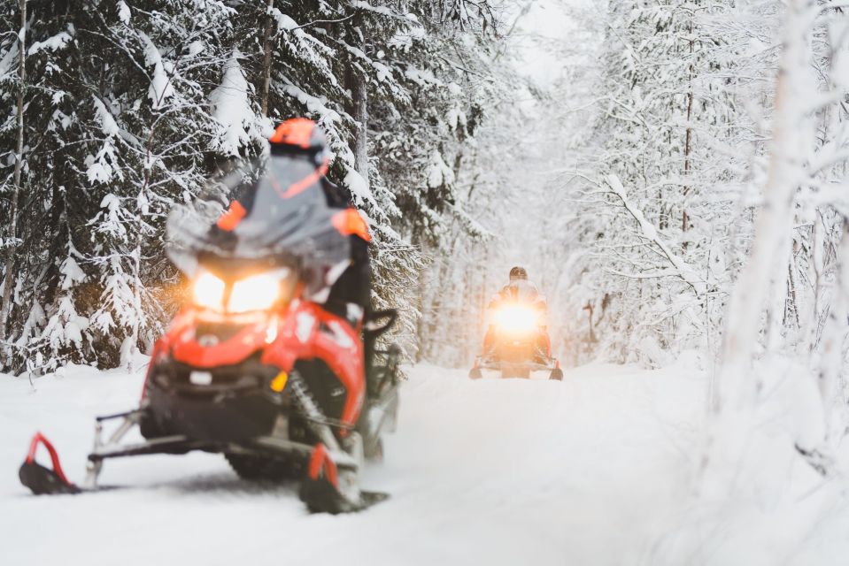 Rovaniemi: Snowmobile Adventure Tour for Adults Only - Key Points