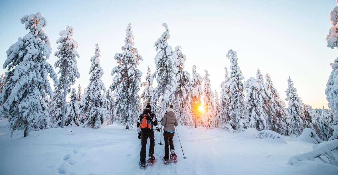 Rovaniemi: Snowshoe Wilderness Adventure - Key Points