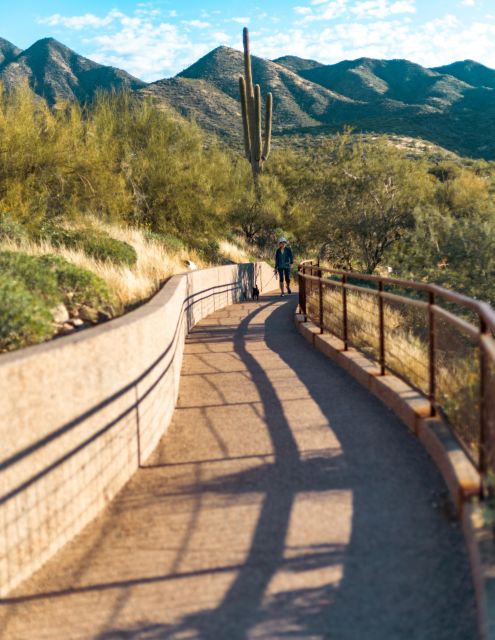 Saguaro National Park: Day Tour & Hike - Key Points