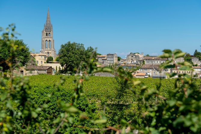 Saint-Emilion: Full-Day Tour With Tasting & Buffet Lunch - Key Points