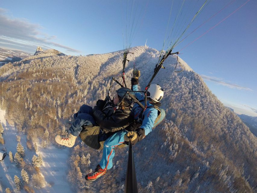 Salzburg Like an Eagle: Tandem Paragliding From Gaisberg - Key Points