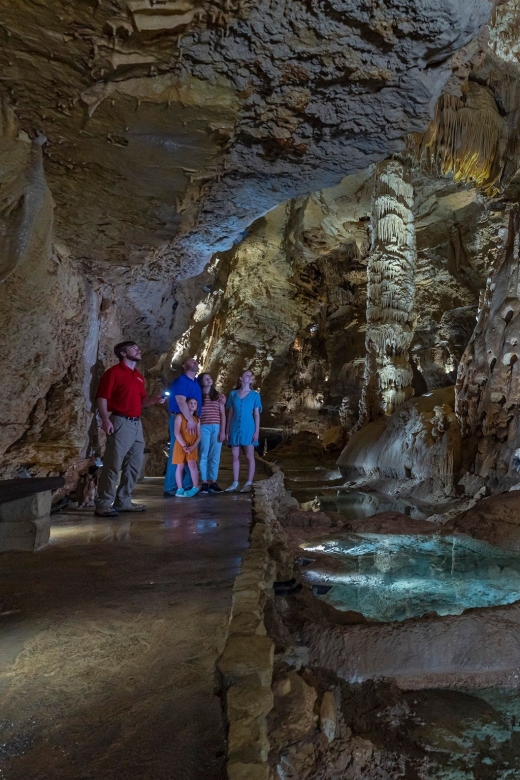 San Antonio: Discovery Tour at Natural Bridge Caverns - Key Points