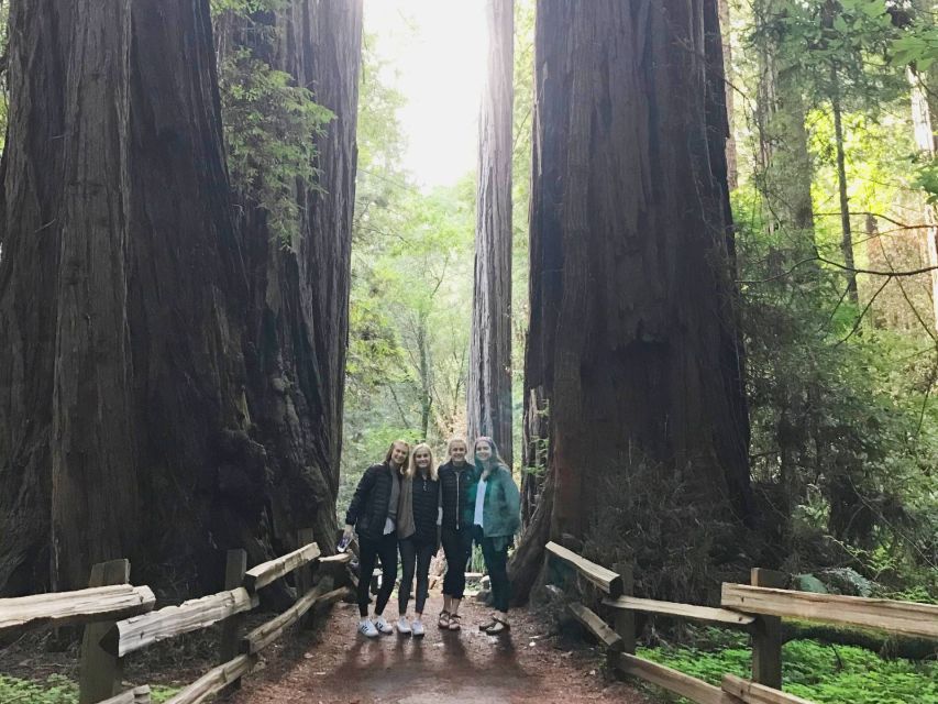 San Francisco Tour to Muir Woods Giant Redwoods & Sausalito - Key Points