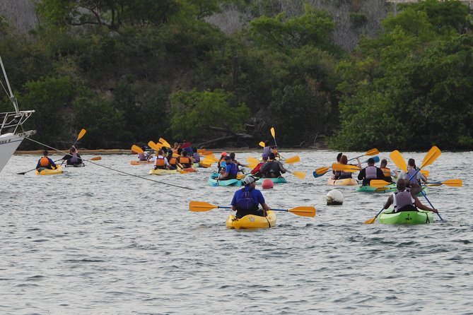 San Juan Bio Bay Kayak Night Tour With Transport - Included in Tour