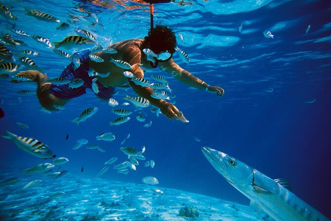 San Juan Guided Snorkeling Experience - With Transport 8am-3pm - Tour Overview and Details