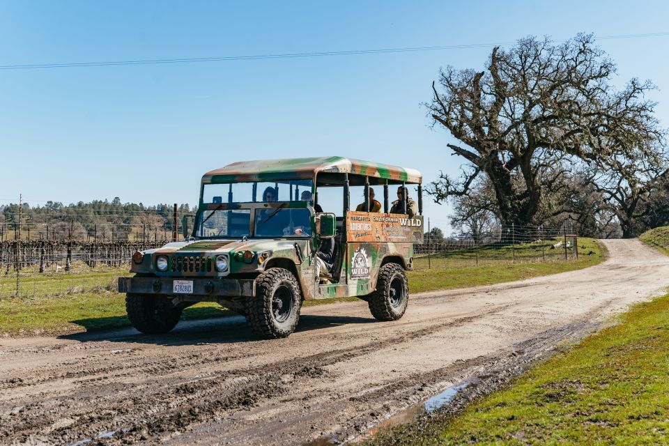 San Luis Obispo: Santa Lucia Guided Nature Tour by Hummer - Key Points