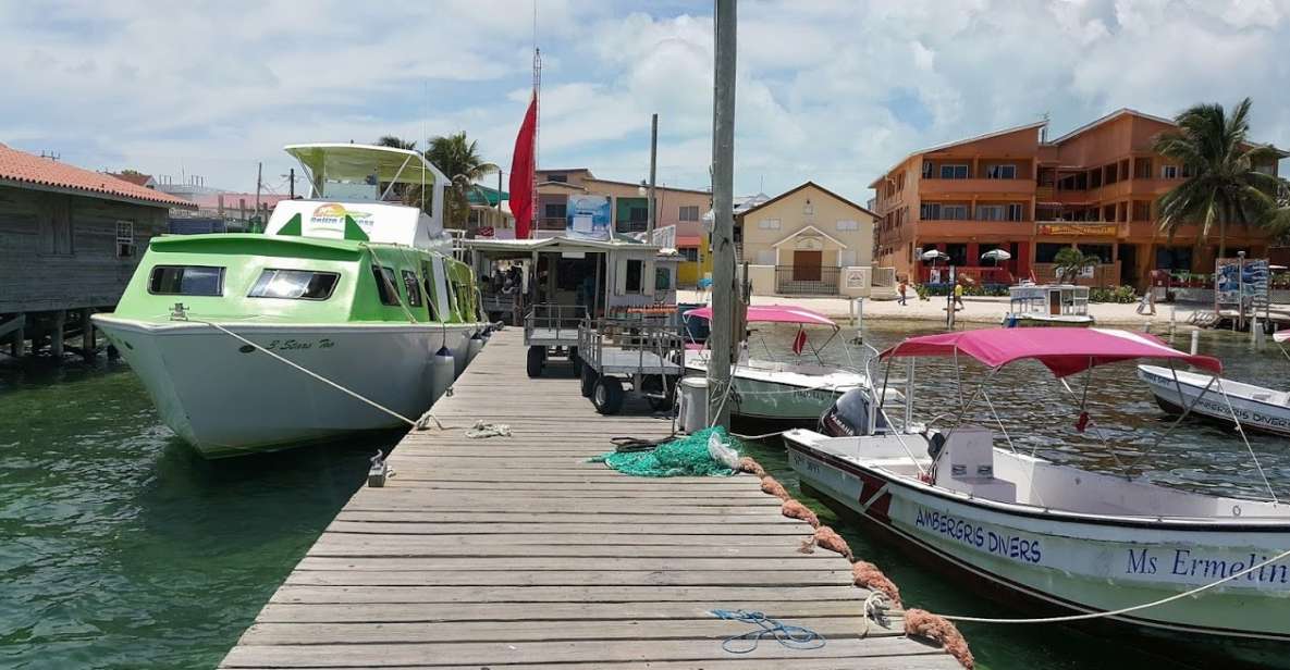 San Pedro: Guided Family Walking Tour - Key Points