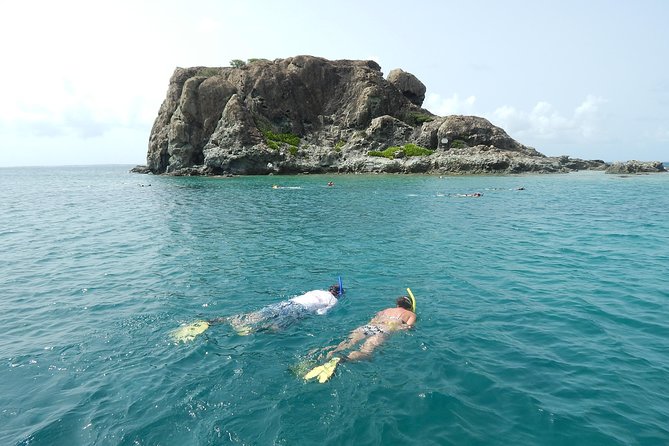 Sand Dollar Half Day Snorkel Trip - Overview of the Excursion