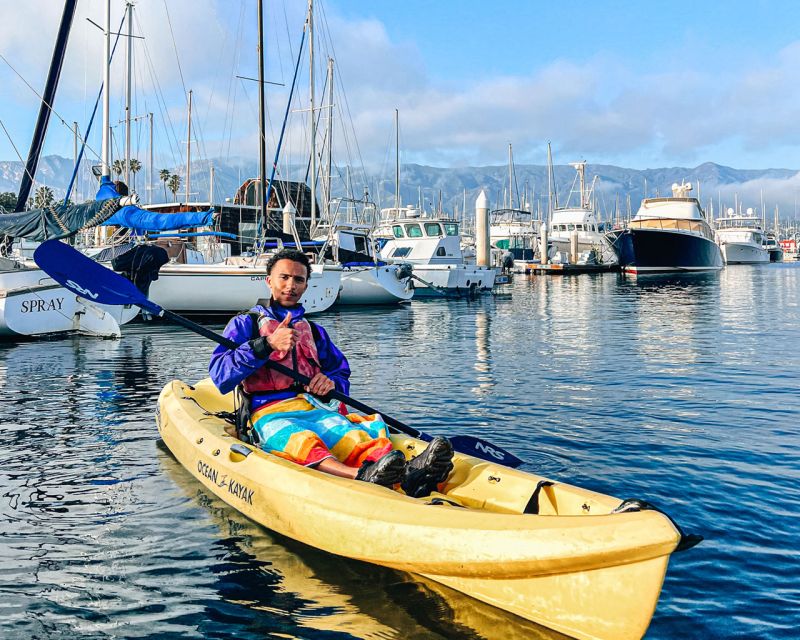 Santa Barbara: Guided Kayak Wildlife Tour - Key Points