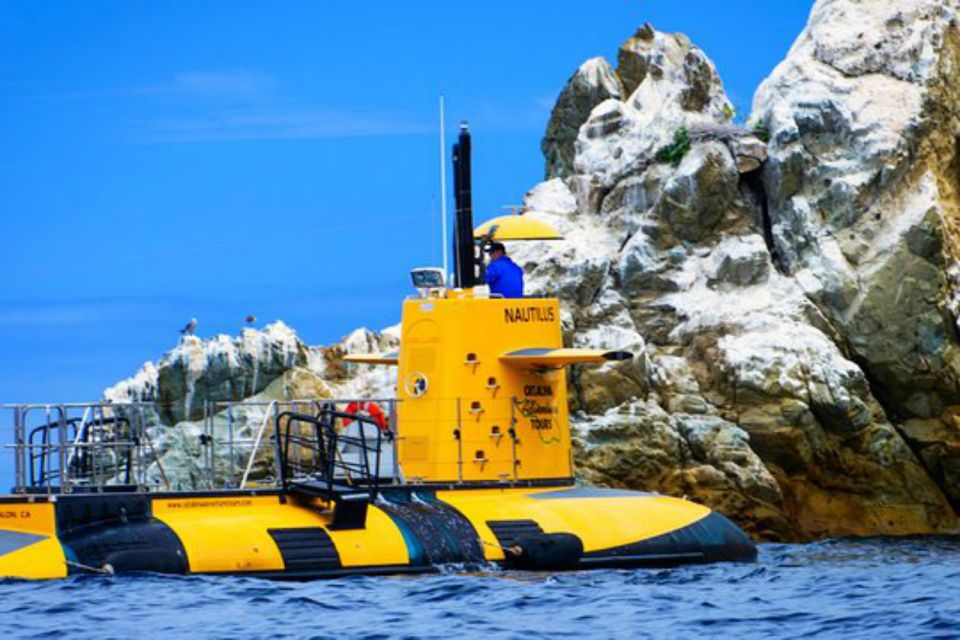 Santa Catalina Island: Nautilus Semi-Submarine Cruise - Activity Overview