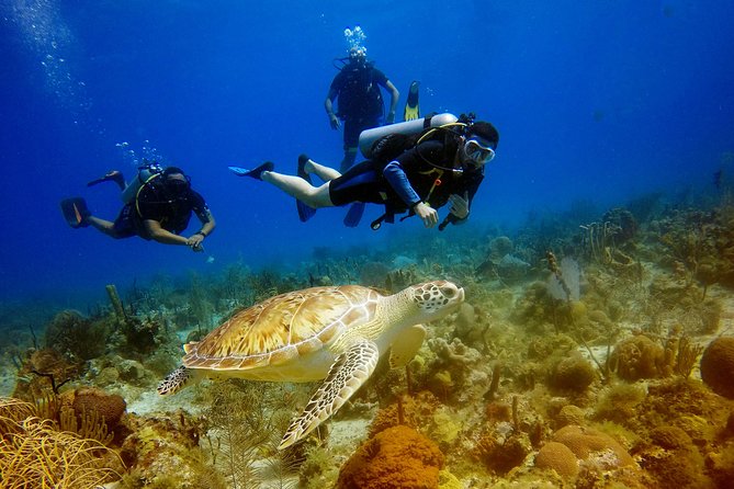 Saona Diving - Key Points