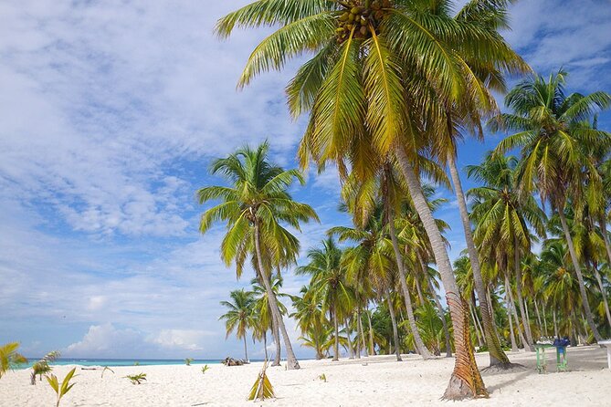 Saona Island Full Day Excursion From Punta Cana + Catamaran Party - Overview of the Excursion