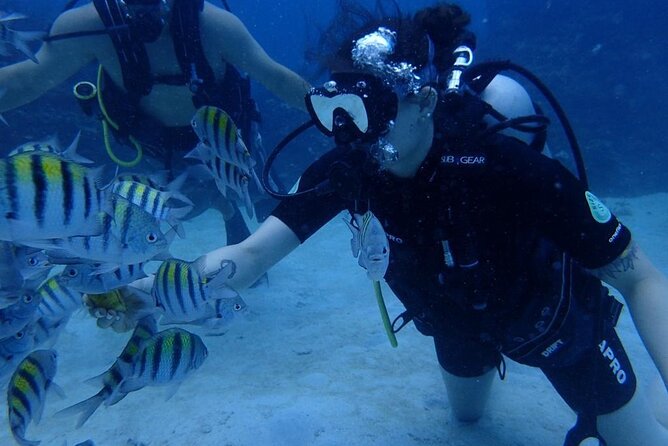 Scuba Diving and Shopping in Montego Bay - Location and Tour Type