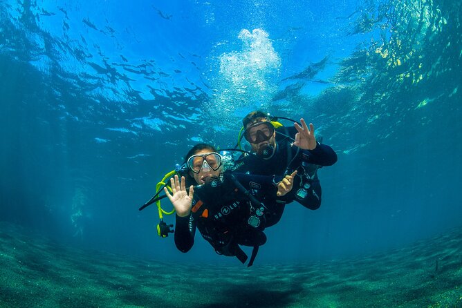 Scuba Diving Baptism Experience in Santa Cruz Tenerife - Overview of the Experience