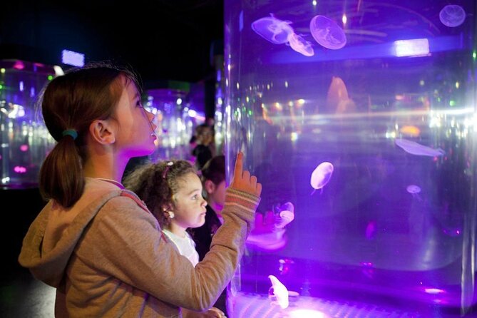 SEA LIFE Paris Val Deurope Aquarium Entry Ticket - Key Points